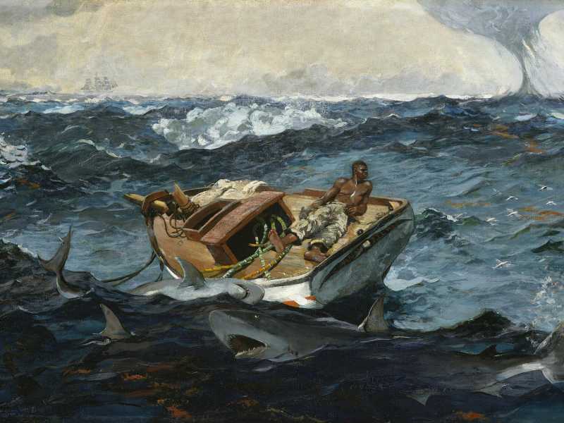 "La Corrente del Golfo", un dipinto a olio del 1899 dell'artista americano Winslow Homer (Wikimedia) <br />