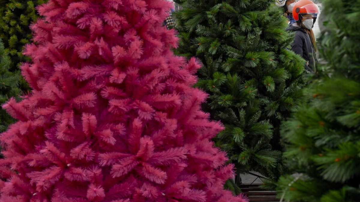 Immagine di Forse rimpiangerò questi giorni, ma non l’albero di Natale