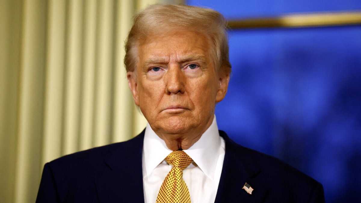 Immagine di Romanzo della vita di Donald Trump