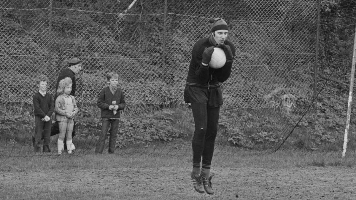 Immagine di È morto Fabio Cudicini, il Ragno Nero italiano