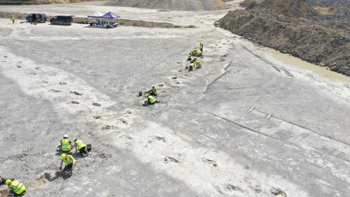 Immagine di Quelle orme di dinosauro in Inghilterra che portano alle origini della paleontologia