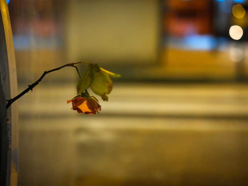 Preparativi per la commemorazione del decimo anniversario dell'attacco terroristico a Charlie Hebdo (Christopher Furlong/Getty Images) <br />