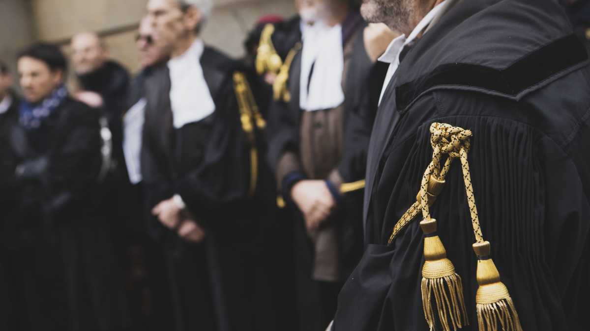 Immagine di Tutti i sopravvissuti della giustizia nel 2024