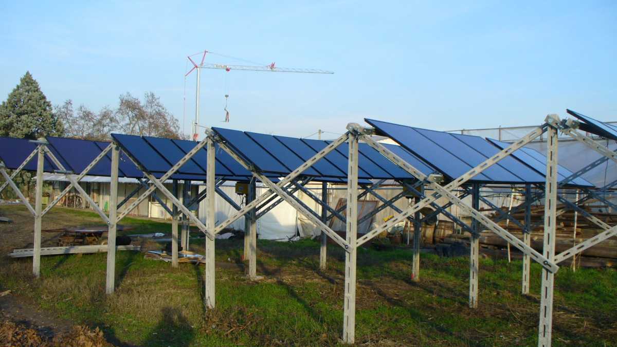Immagine di I numeri dietro il boom di agrivoltaico nel 2024
