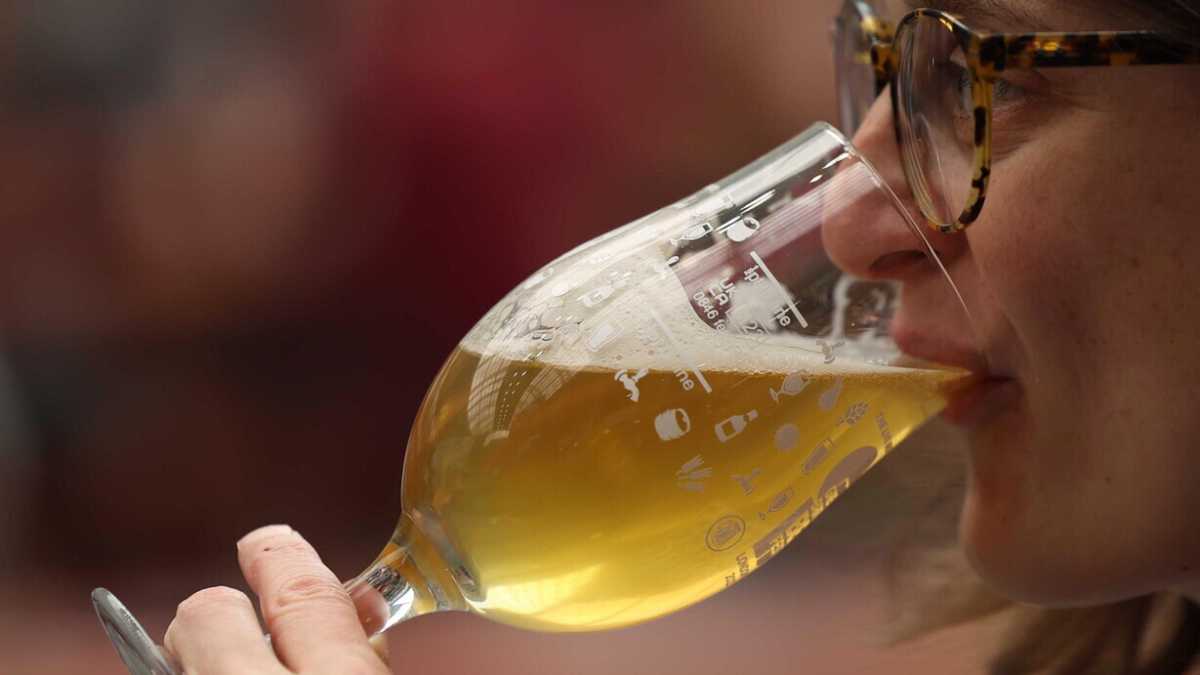 Immagine di Alcol e guida: come calcolare il tasso alcolemico e i fattori che influenzano l'assorbimento