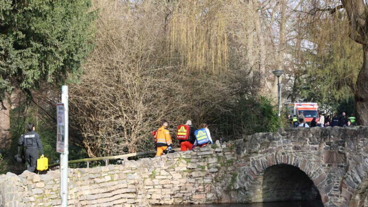 Immagine di Un bambino di due anni e un uomo di 41 anni sono stati uccisi in un parco in Baviera