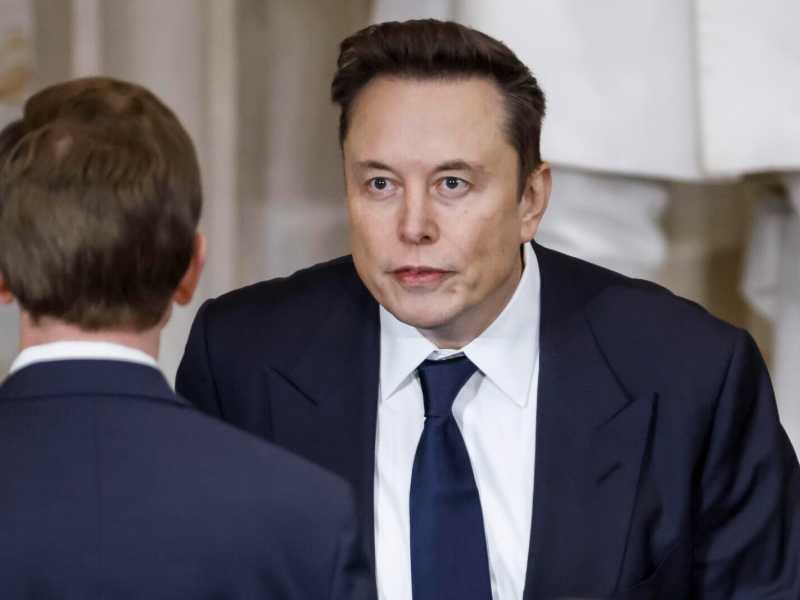 Elon Musk (Ansa)