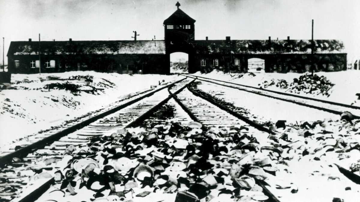 Immagine di Il figlio di Auschwitz di cui scrive Primo Levi. Non aveva mai visto un albero