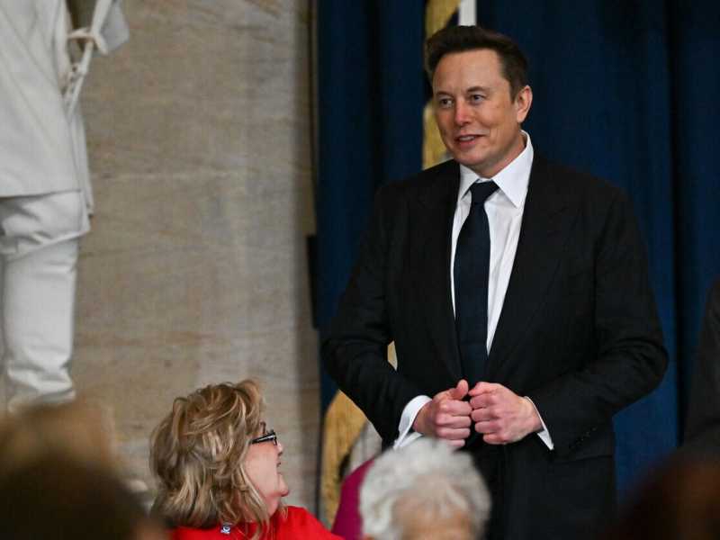 &nbsp;Elon Musk (Ansa)