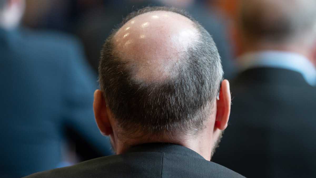 Immagine di Anche Schopenhauer non ne poteva più di folte chiome e barbe accademiche