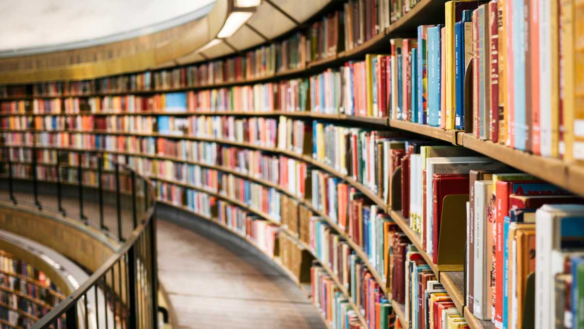 Immagine di La cultura di massa,  l’università e lo studioso che non legge perché studia