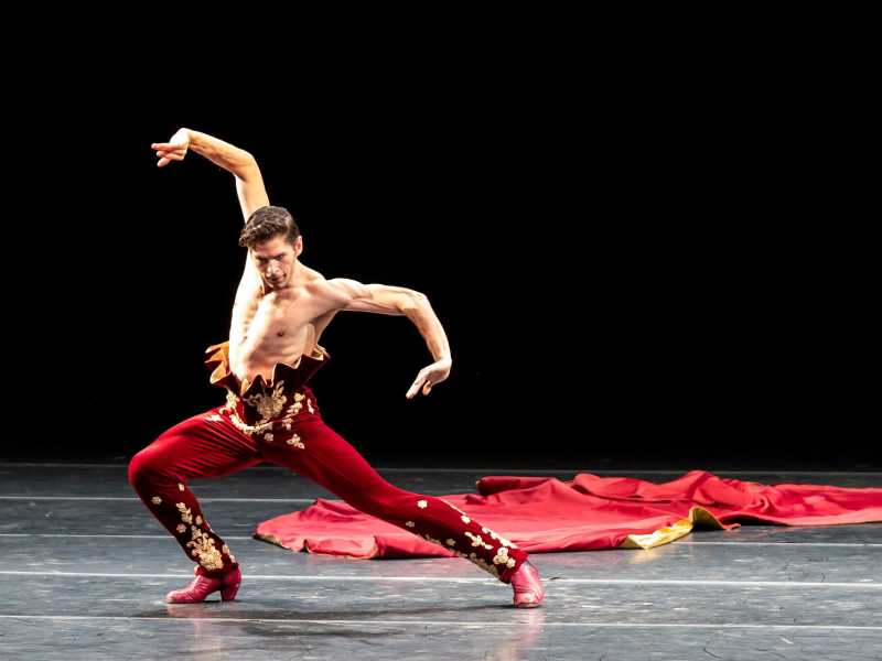 Sergio Bernal, “Re” del flamenco: “Il sogno di chi danza è essere indimenticabile”