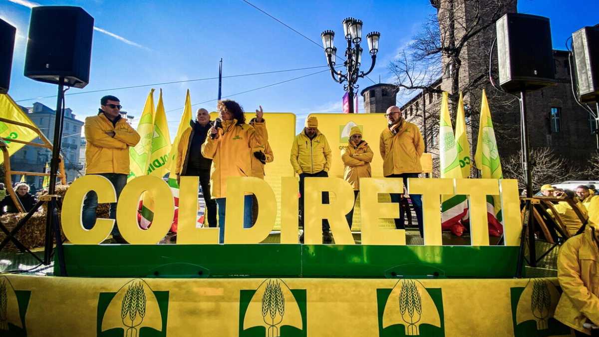 Immagine di Il solito blitz-buffonata della Coldiretti contro l’importazione di olio d’oliva