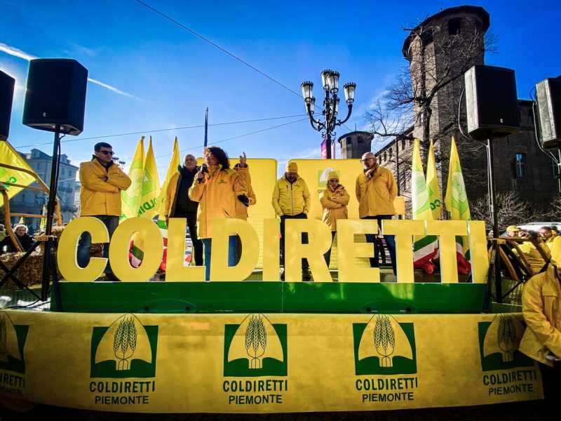 Il solito blitz-buffonata della Coldiretti contro l’importazione di olio d’oliva