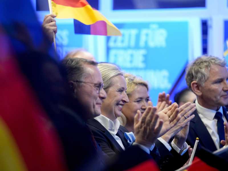 Afd, no grazie. I leghisti veneti smorzano gli entusiasmi di Salvini
