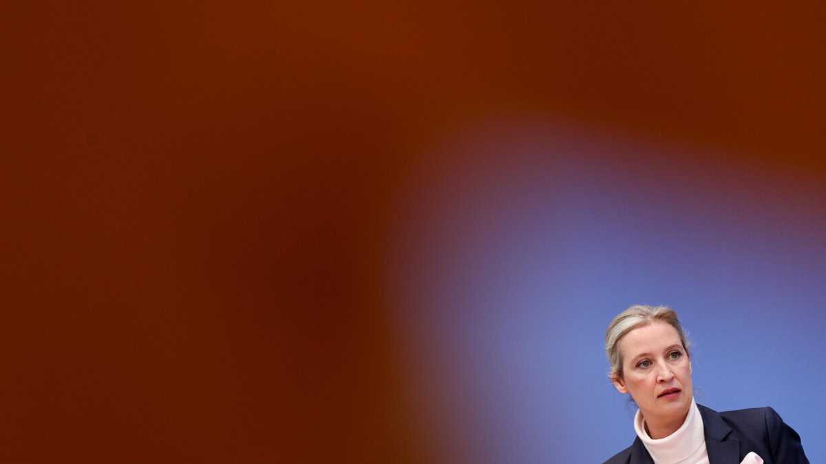 Immagine di Chi si rivede al Bundestag con l’AfD