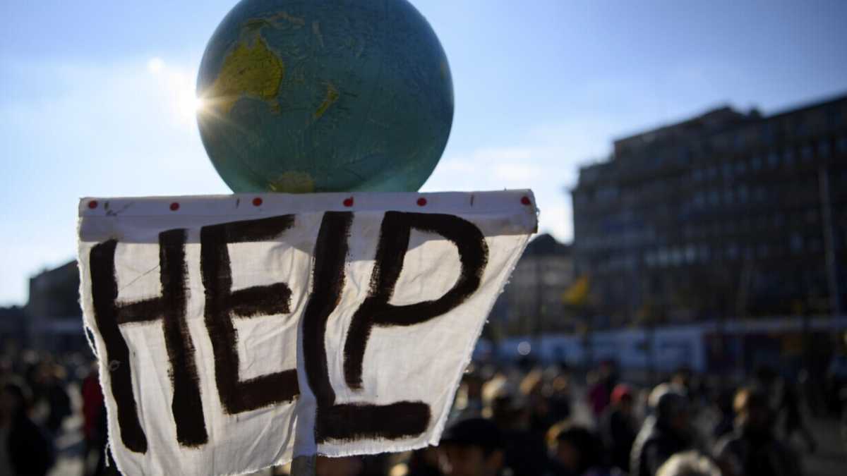 Immagine di Una sperimentazione dell'Università Statale con la tecnica Tea distrutta dagli ecoterroristi