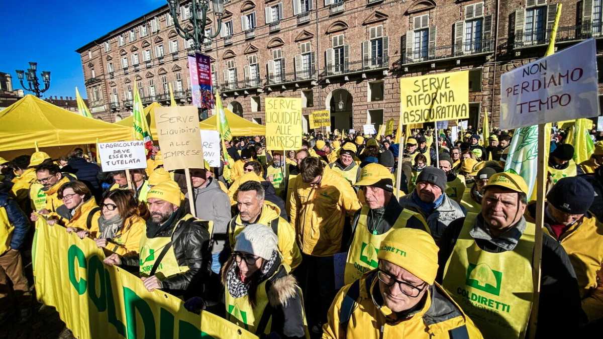 Immagine di La comunità scientifica risponde a Coldiretti: "Le richieste sulla carne sintetica non hanno base scientifica"