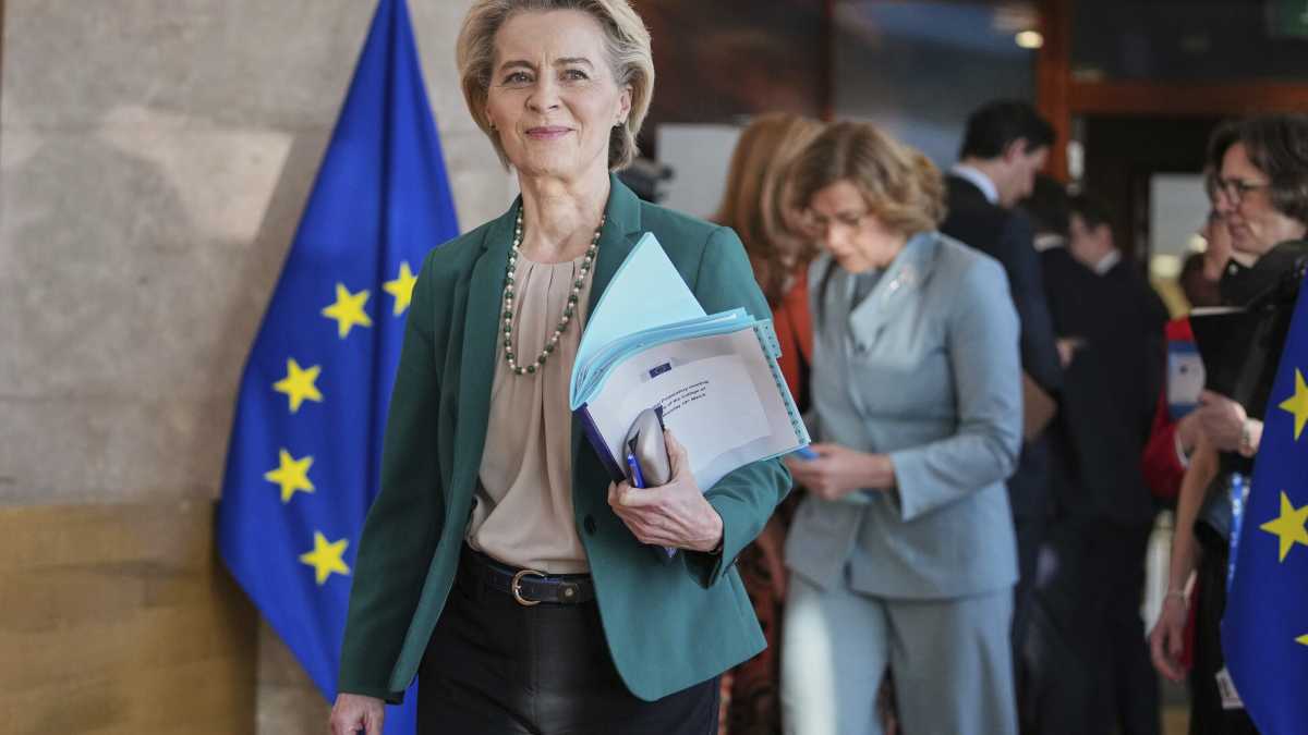 Immagine di Problemi e limiti nel Libro bianco di von der Leyen