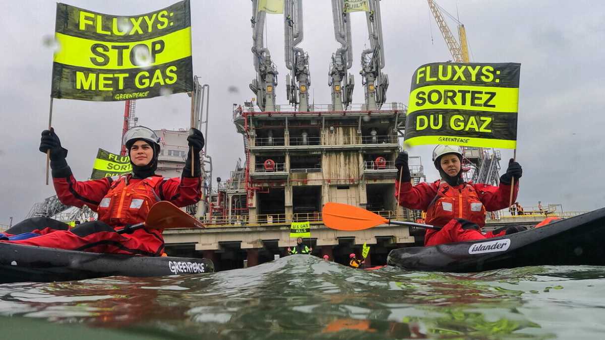 Immagine di Una lezione a Greenpeace