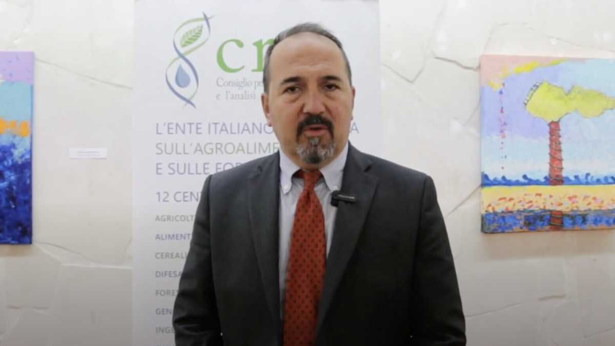 Immagine di La surreale audizione di Rocchi (Crea) sul Mercosur