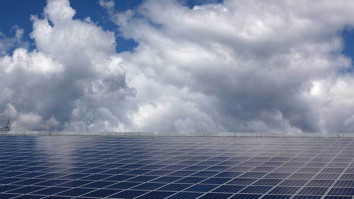 Immagine di Transizione bluff. Tutti i paradossi del piano per azzerare le emissioni