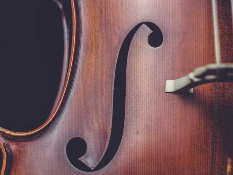 (Unsplash)
