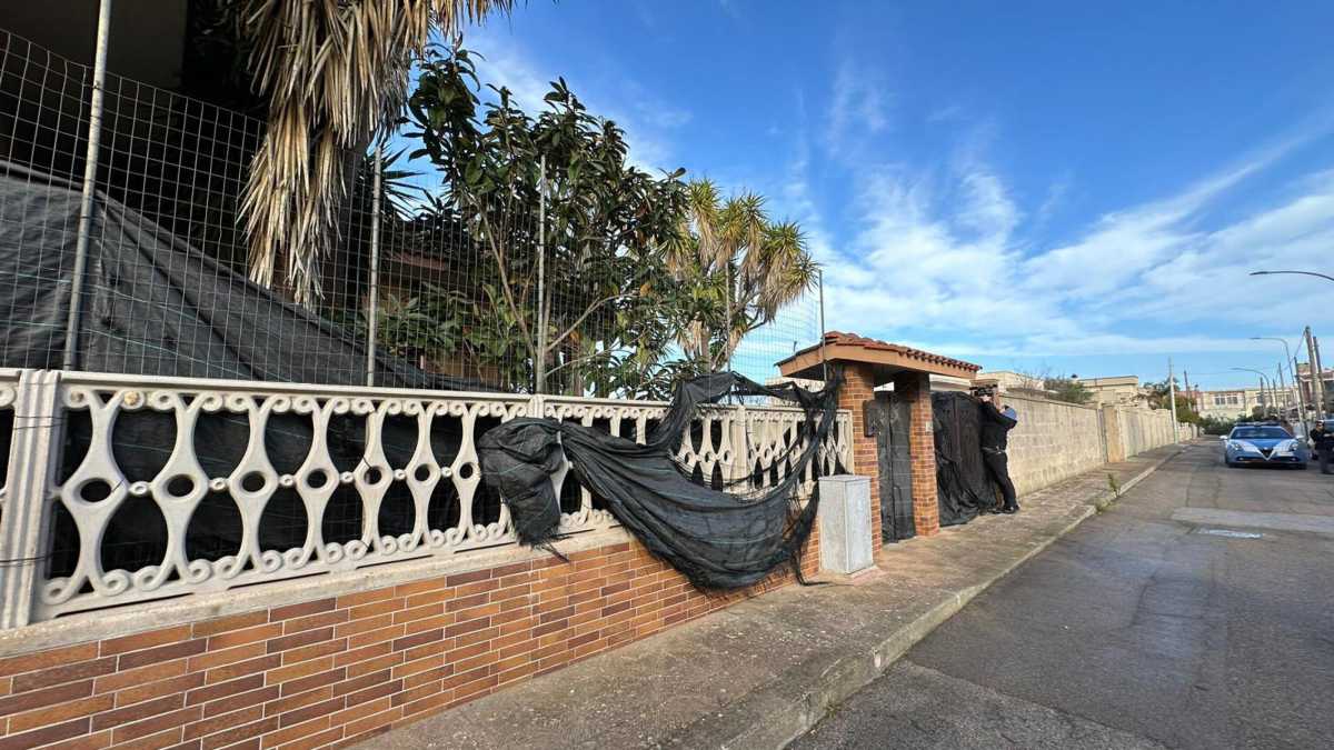 Immagine di Il comune di Avetrana si appella al buon cuore della Disney