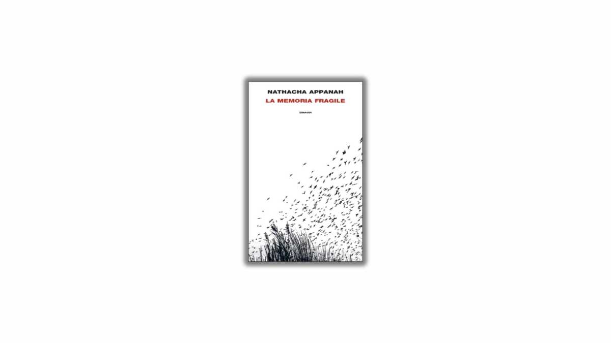Immagine di La memoria fragile