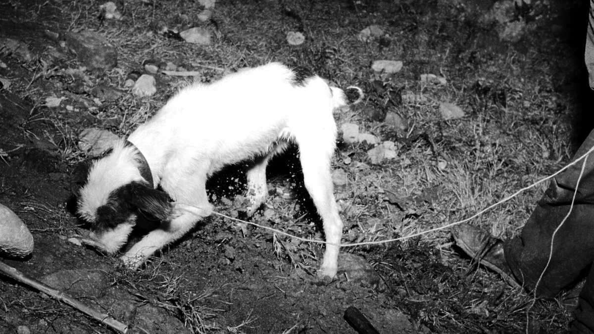 Immagine di Un'eccezione sulle rubriche degli altri