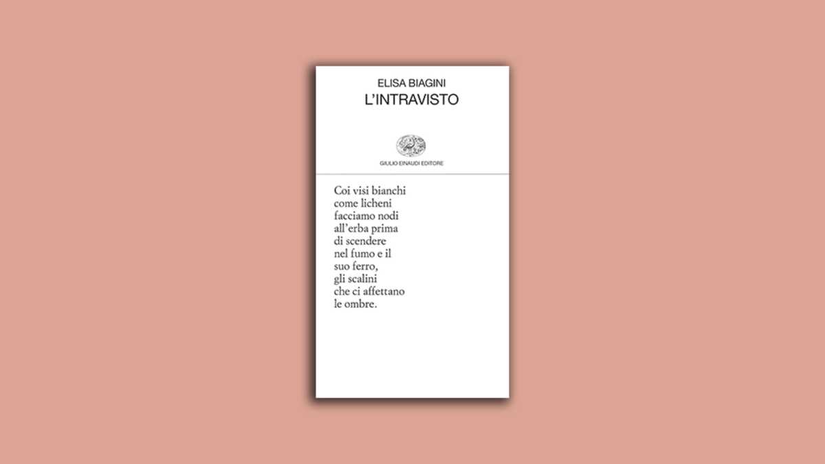 Immagine di L’intravisto