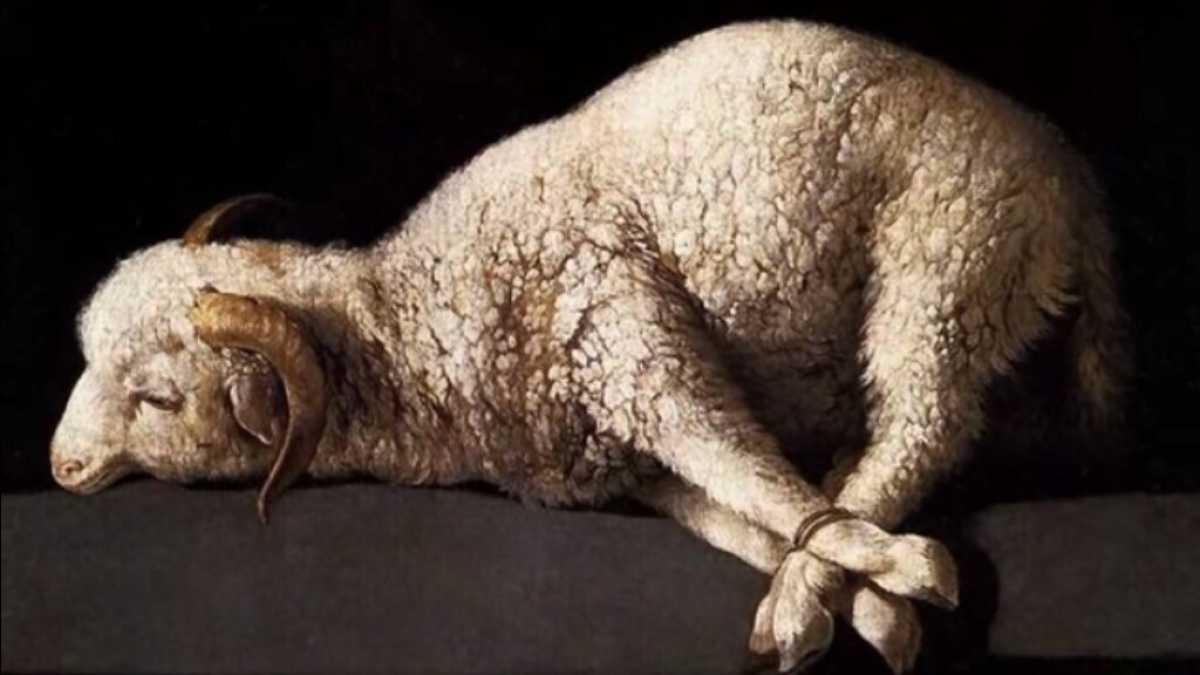 Immagine di Se non mangi l'agnello non sei un cristiano
