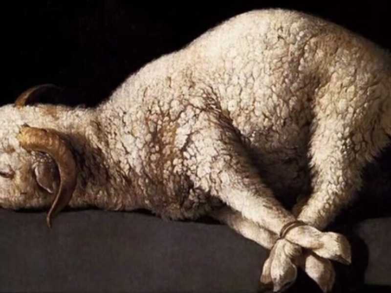 Agnus Dei, Francisco de Zurbar&agrave;n