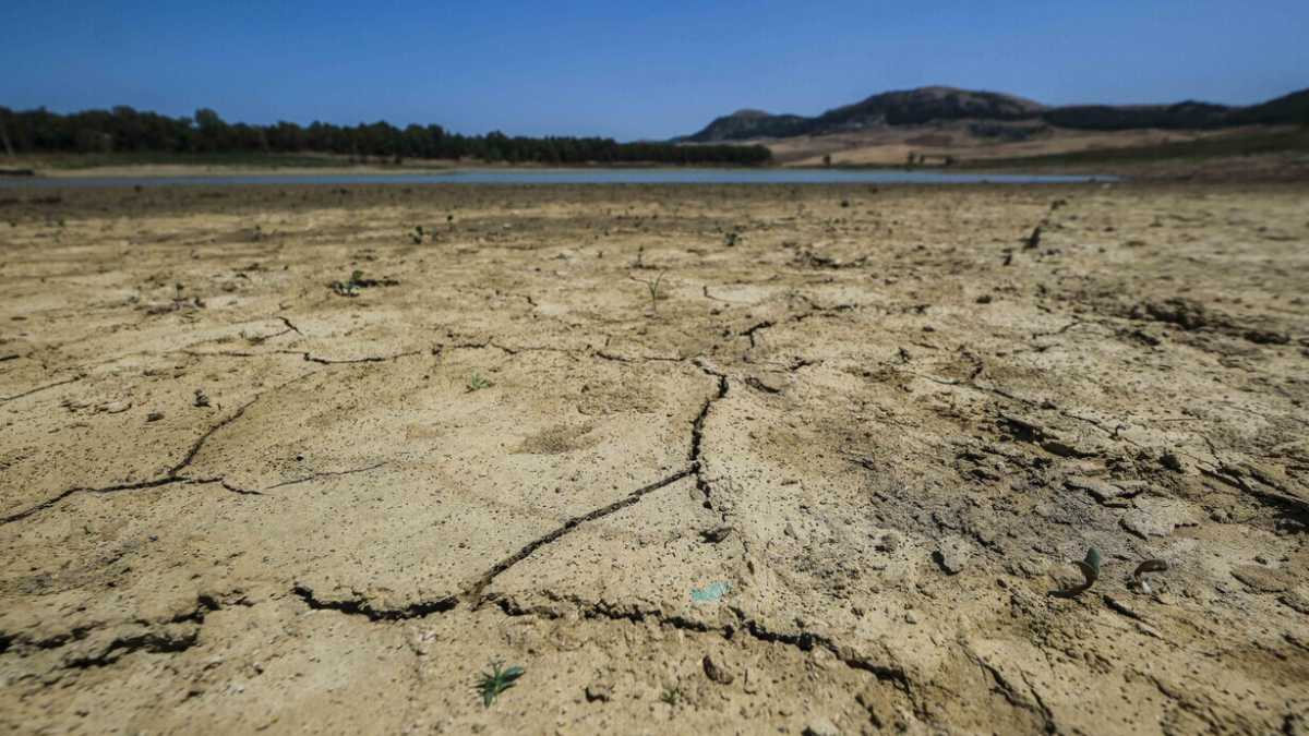 Immagine di Il buco all’Inps e l’acqua a Palermo: se c’è di mezzo la politica pure la matematica è un’opinione