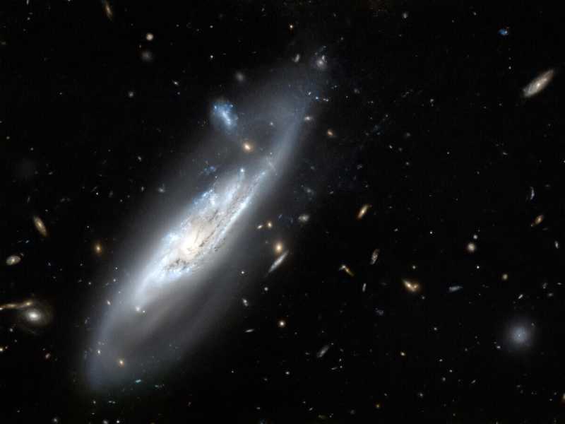 Un'immagine della&nbsp;galassia NGC 4848 ripresa dal telescopio spaziale Hubble (foto ESA, via Ansa)<br />