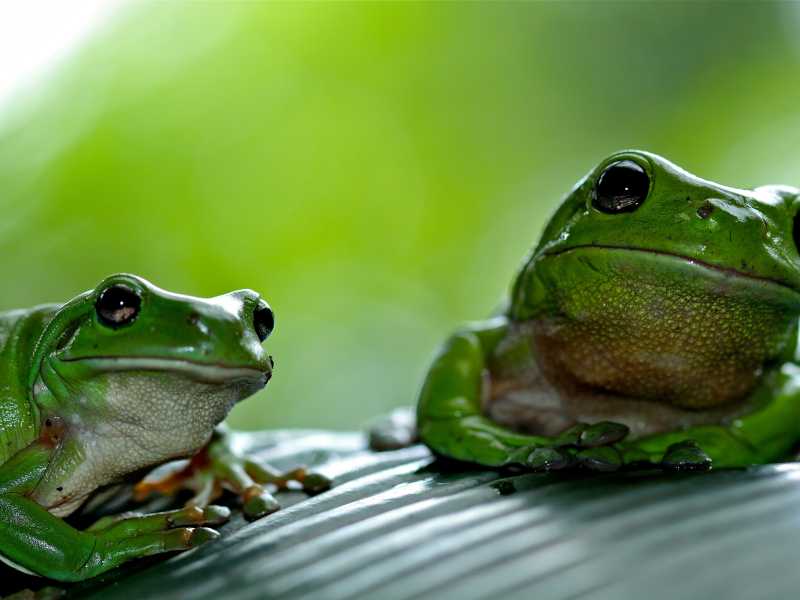 Foto di gary tresize su Unsplash