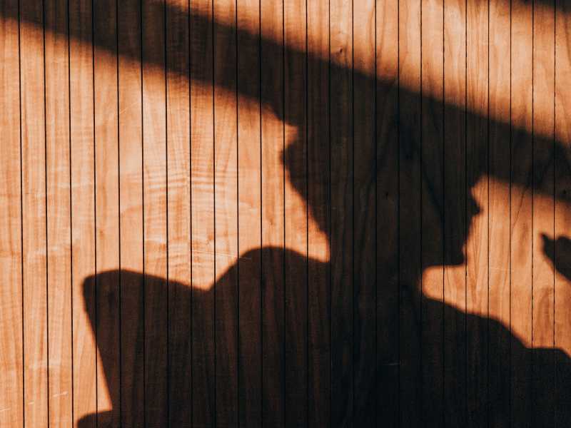 (Unsplash)