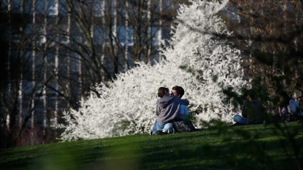 Immagine di Mettere al mondo un altro mondo: il cuore scoperto per ri-fare l’amore