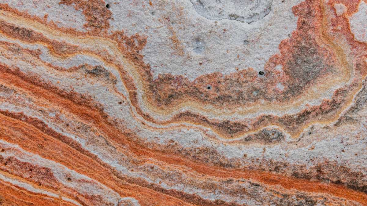 Immagine di L'evoluzione umana è stata questione di tempismo