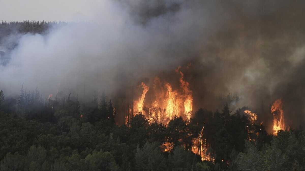 Immagine di Il più grande incendio della storia di Israele brucia la parte centrale dello stato ebraico