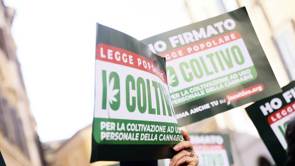 Immagine di L'idea che lo stato possa proibire una droga può avere pericolose conseguenze