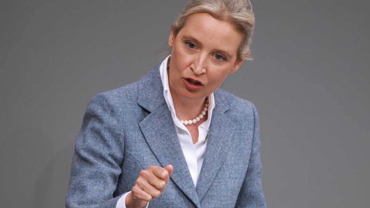 Immagine di Che cosa può succedere davvero all’Afd “estrema”. Intervista