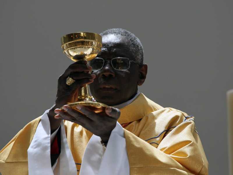 Cardinale Robert Sarah (Ansa)
