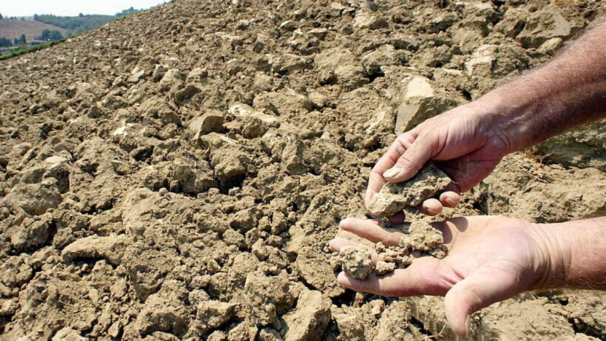 Immagine di Come vendere acqua in polvere e vivere felici