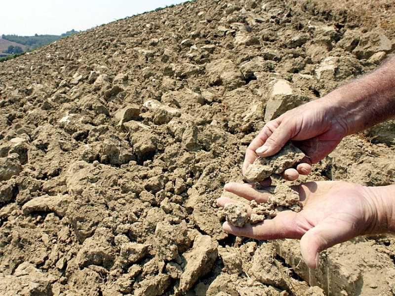 Come vendere acqua in polvere e vivere felici
