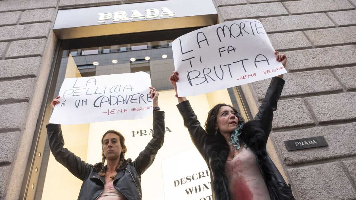 Immagine di Il veganesimo è una gran brutta religione