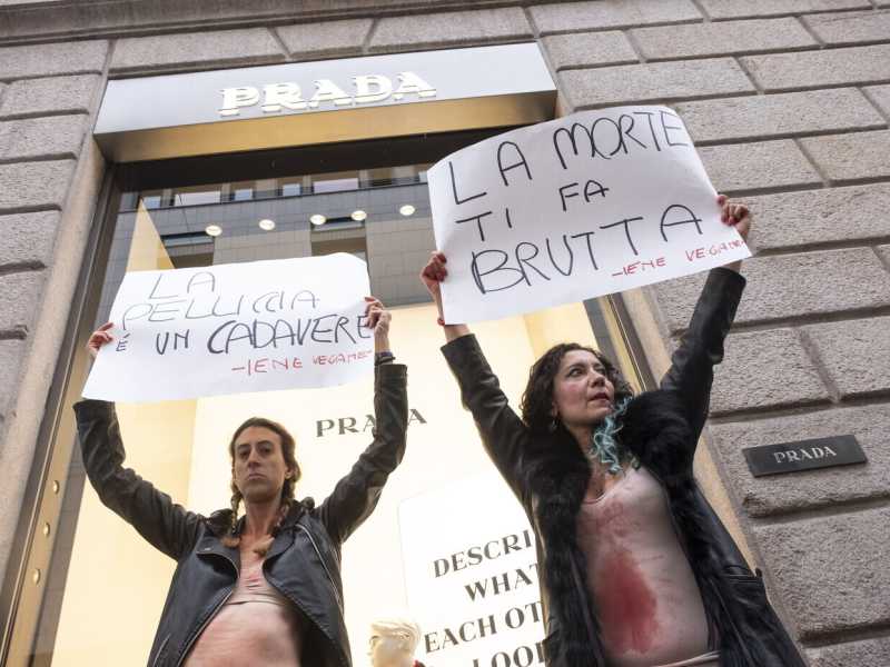 foto LaPresse