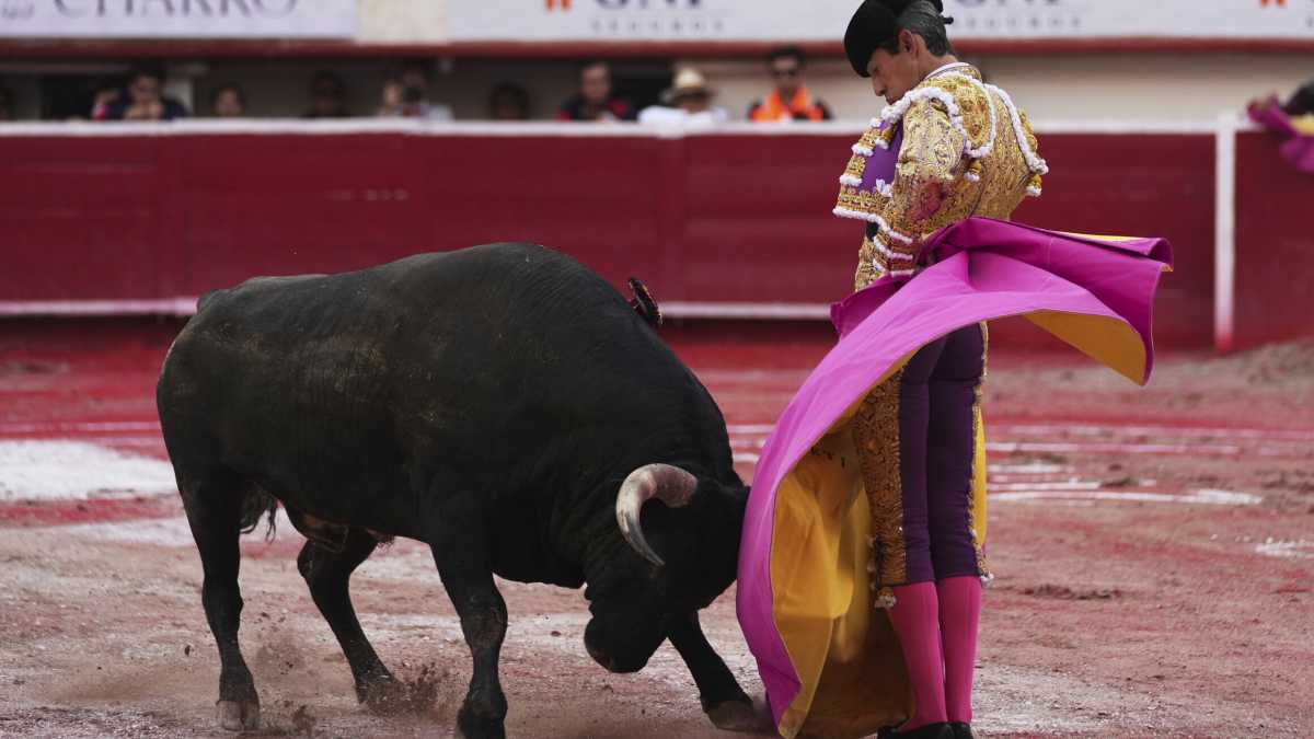 Immagine di L'eternità della corrida e la prima volta che ne vidi una