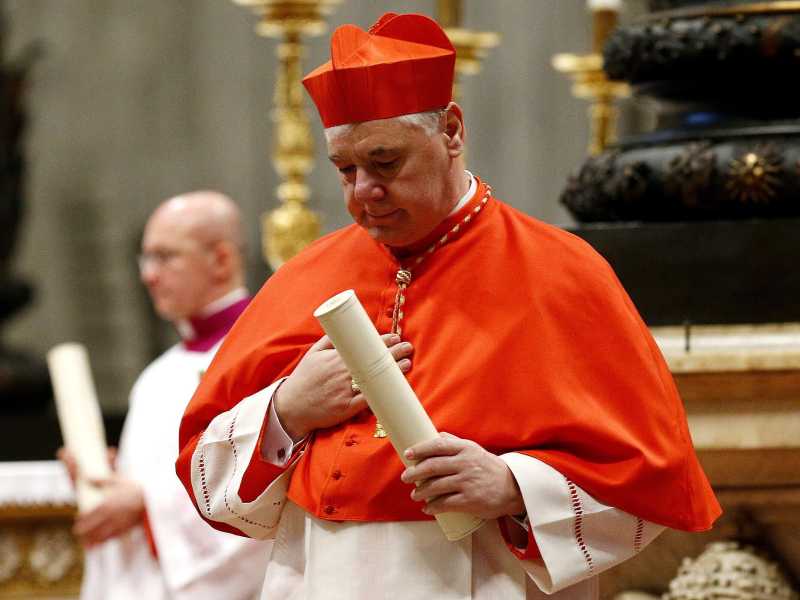 Cardinale Gerhard Ludwig Muller (Ansa)