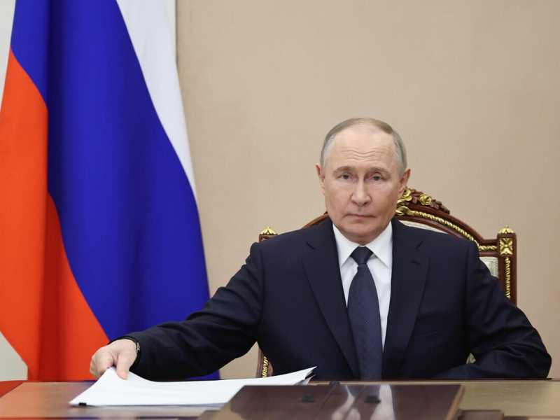 Vladimir Putin (Ansa)